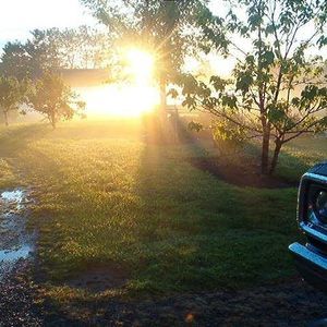 Meet your Posher, Anne